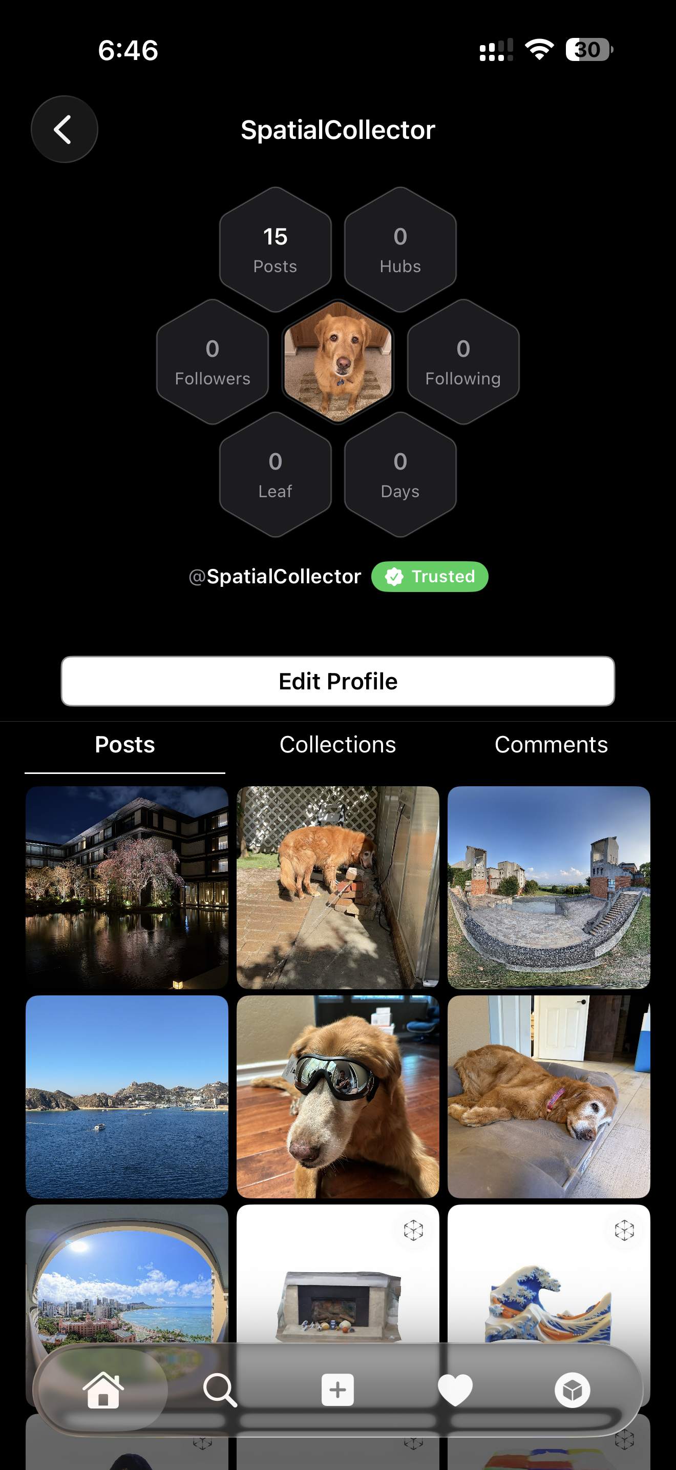 TiiHub user profile showing 3D scanned objects and collections on iPhone
